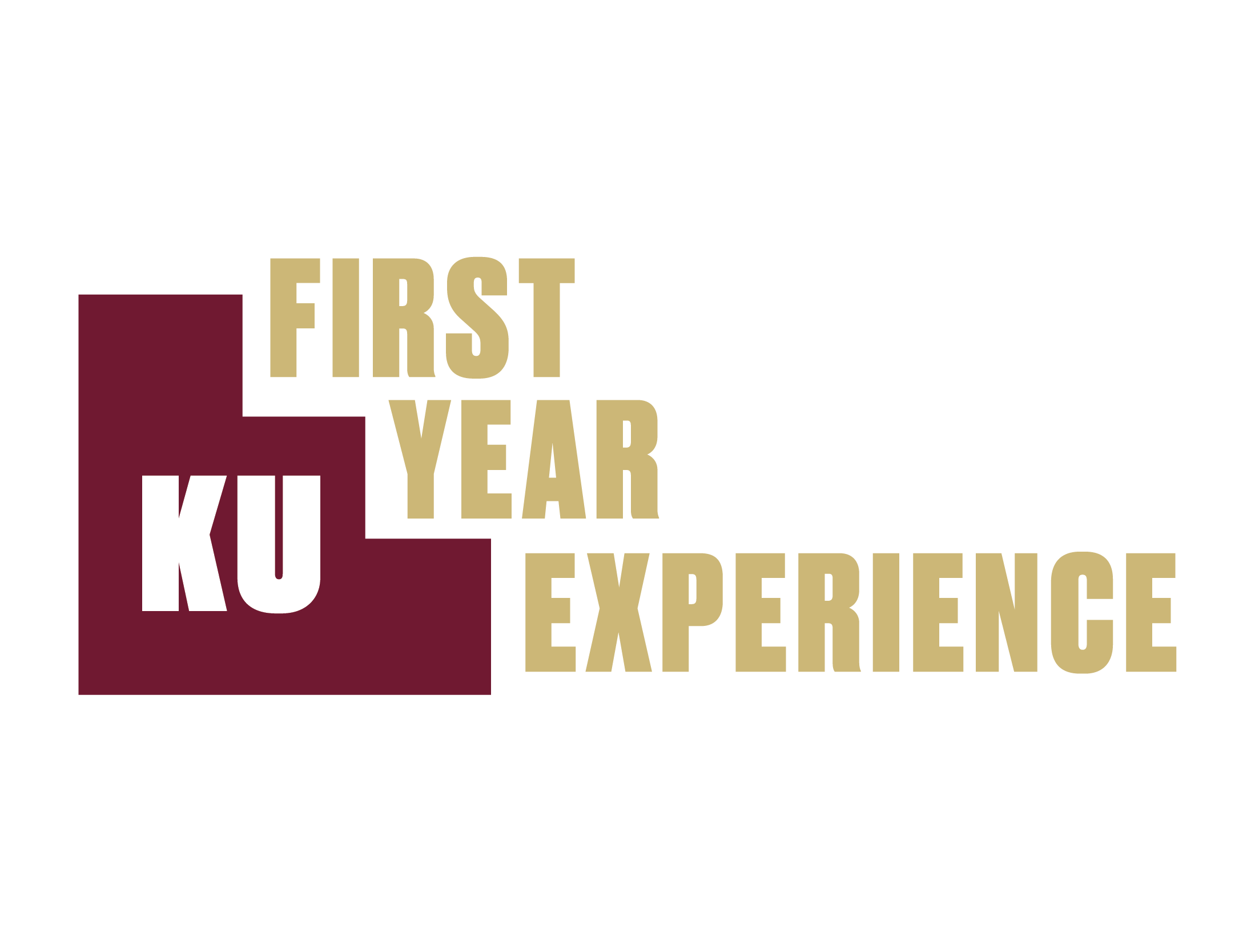 KU First Year Experience