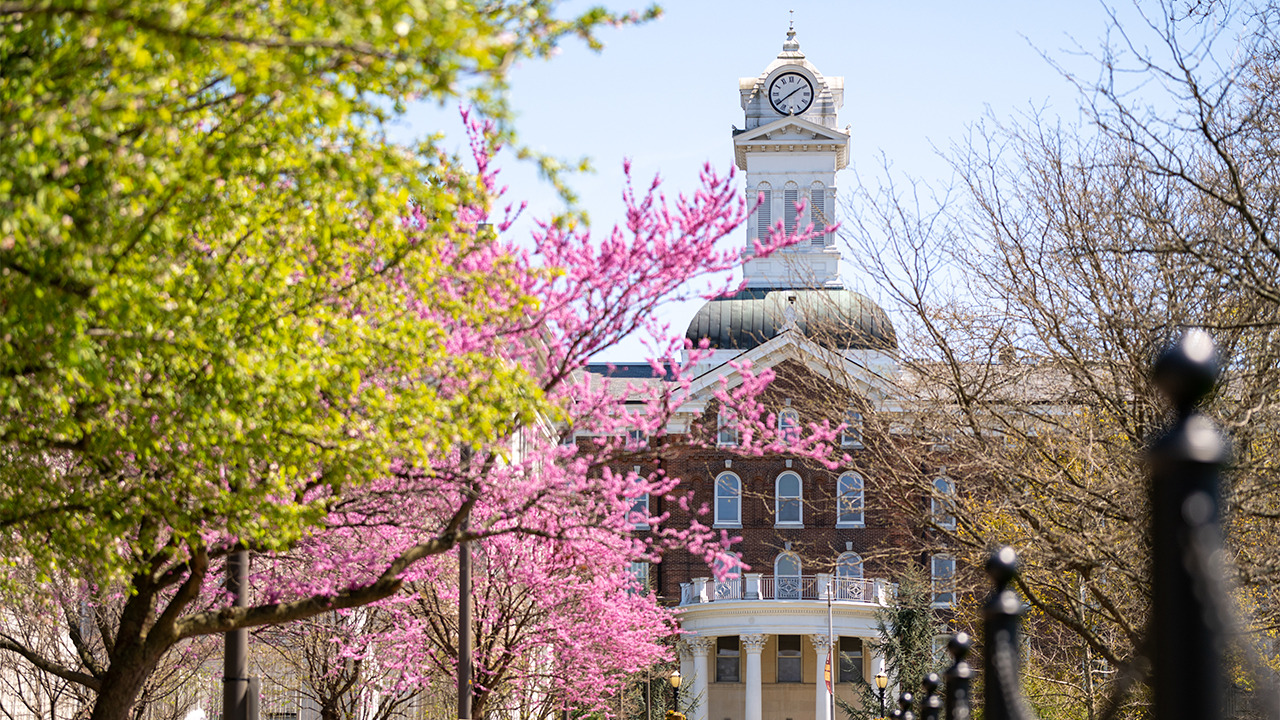 Distant shot of Old Main front entrance and clock tower with flowering tree branches in the foreground