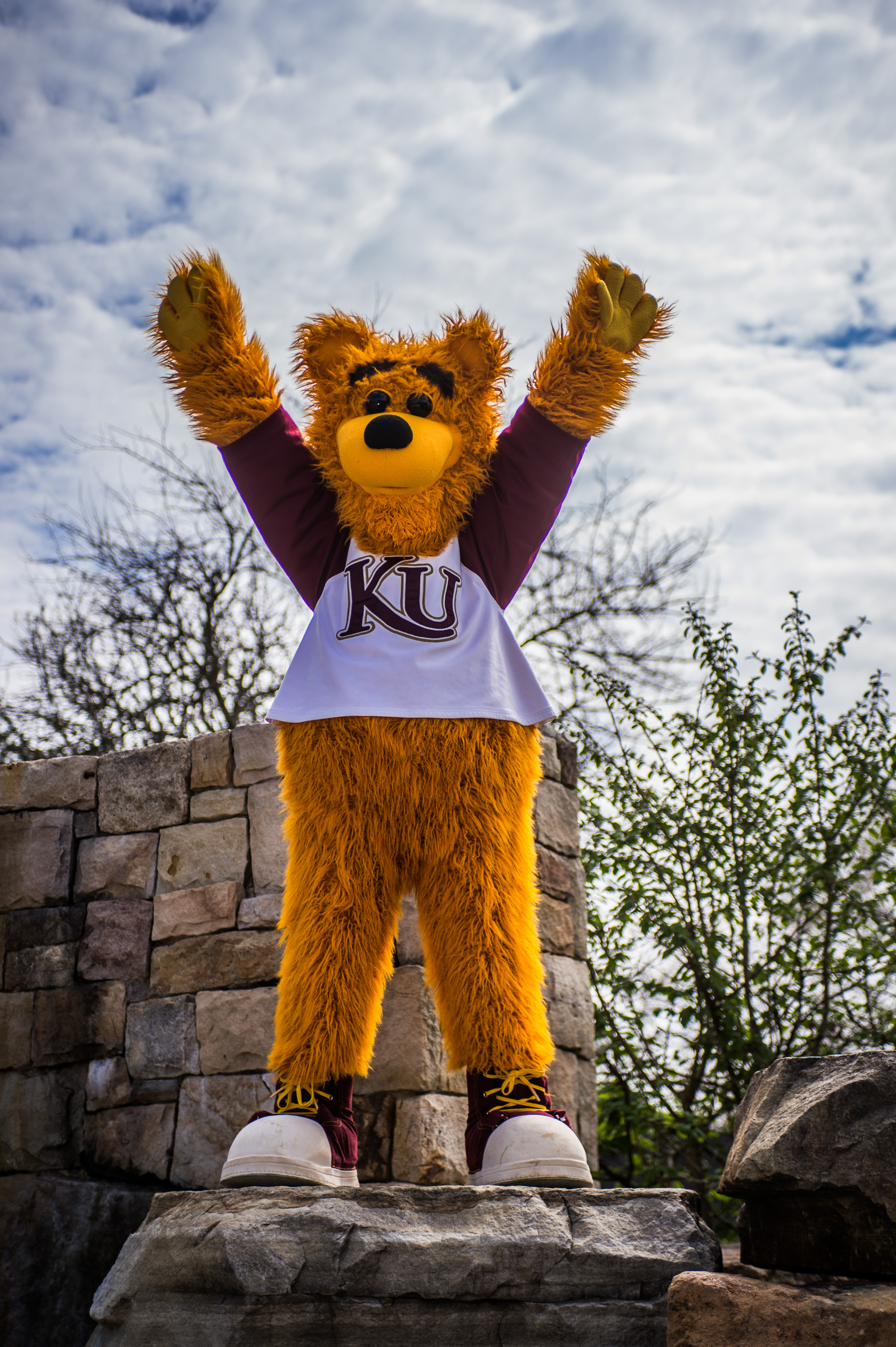 Avalanche the golden bear standing on the alumni fountain with his arms raised over his head