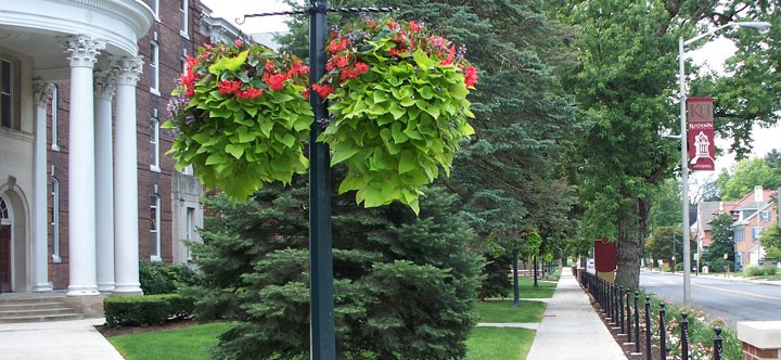 Sidewalk in front of Old Main with holly berries growing on a lamp post in the foreground