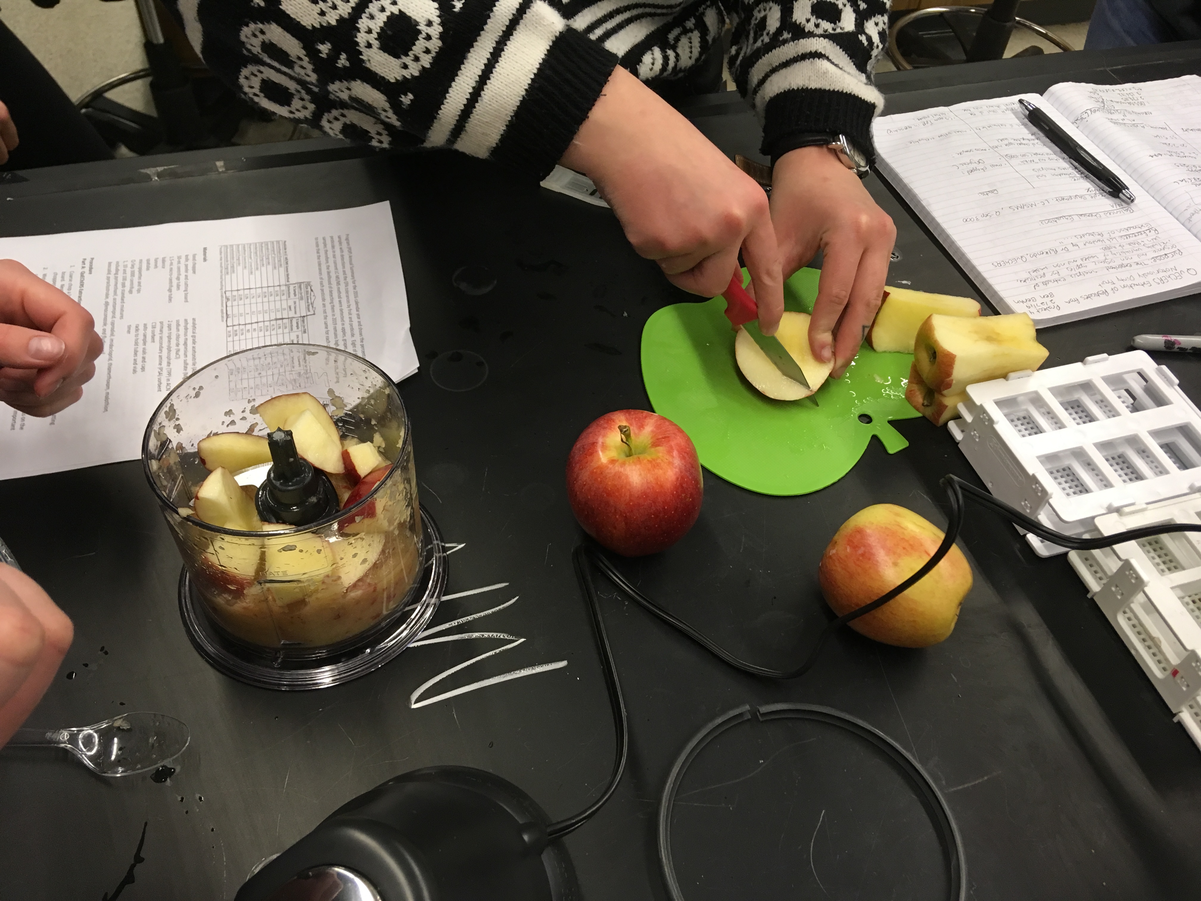 a pair of hands chopping apples and putting them into a food processor on a lab benchtop