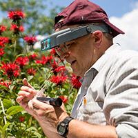 Dr. Chris Sacchi is examining flowers in the field.