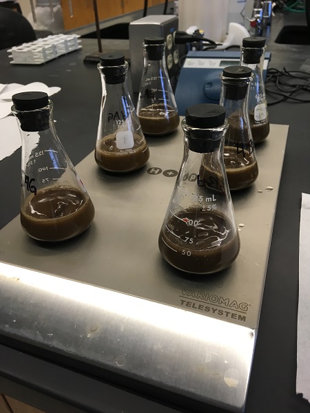 Flasks containing soil on a multi-stirrer plate
