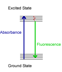 Energy Level diagram showing absorbance and fluorescece