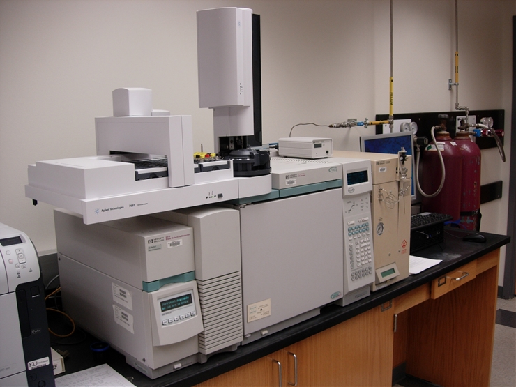 Agilent 6890 gas chromatograph with 5973 mass spectrometer