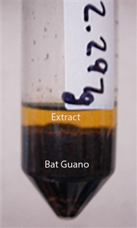 centrifuge tube containing two layers - bat guano and liquid extract