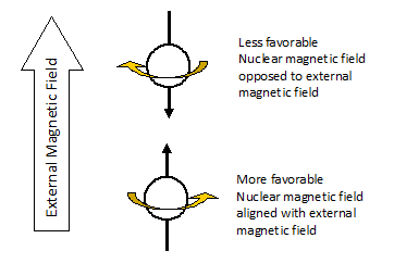 diagram of nuclear spin aligned and opposed to external magnetic field