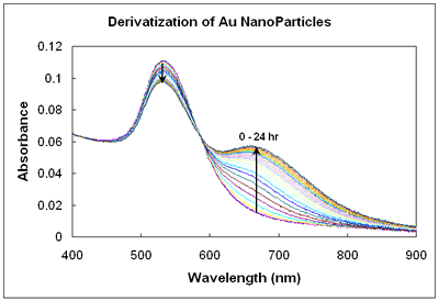 Absorbance spectra of gold nanoparticles derivatized with a thiol
