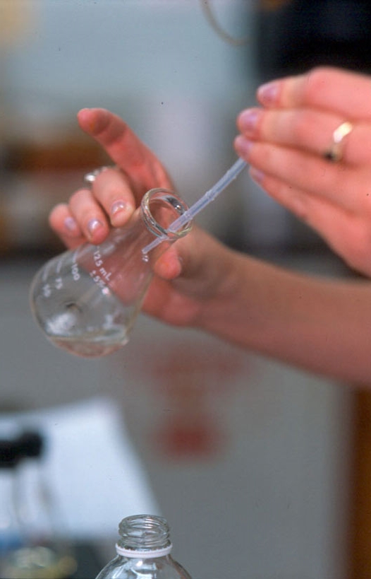Hand pipetting liquid into flask