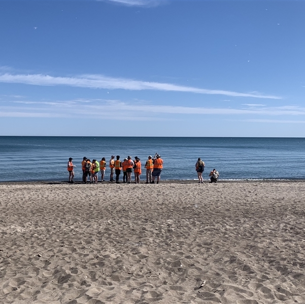 Distant shot of a class of students dressed in yellow or orange vests and hard hats and standing on the beach, next to the surf 