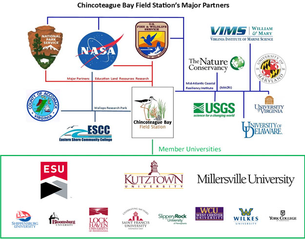 Graphic showing the CBFS major partners and universities