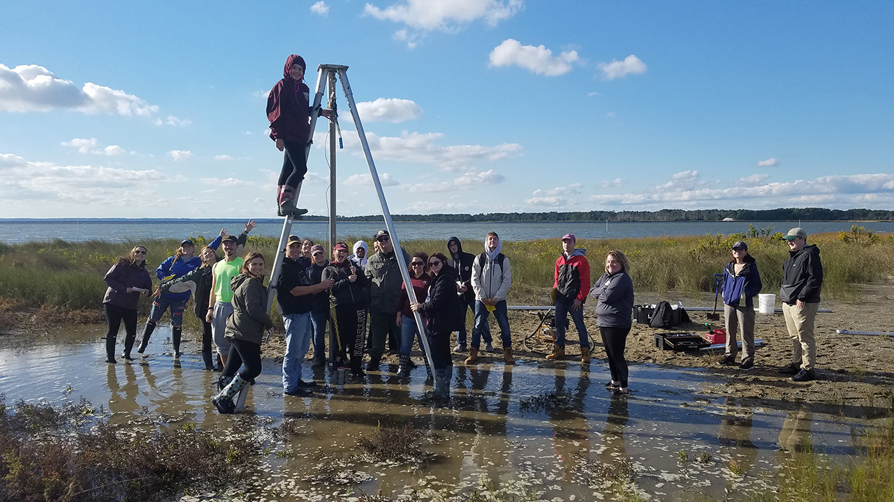 Students surrounding the vibracore system in the salt marsh with a student on top of the tripod