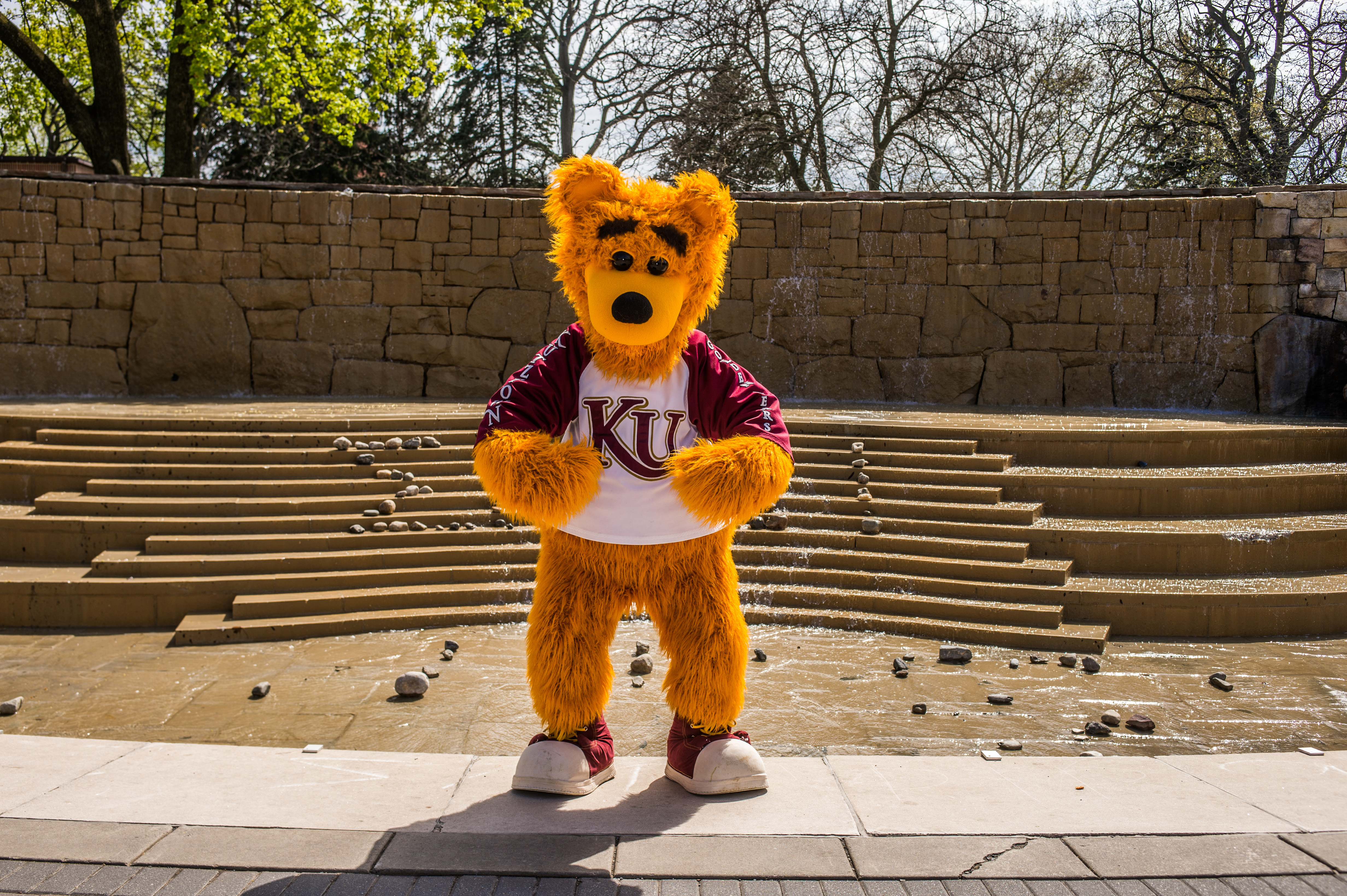 Avalanche the Golden Bear flexing in front of the main fountain in Alumni Plaza 