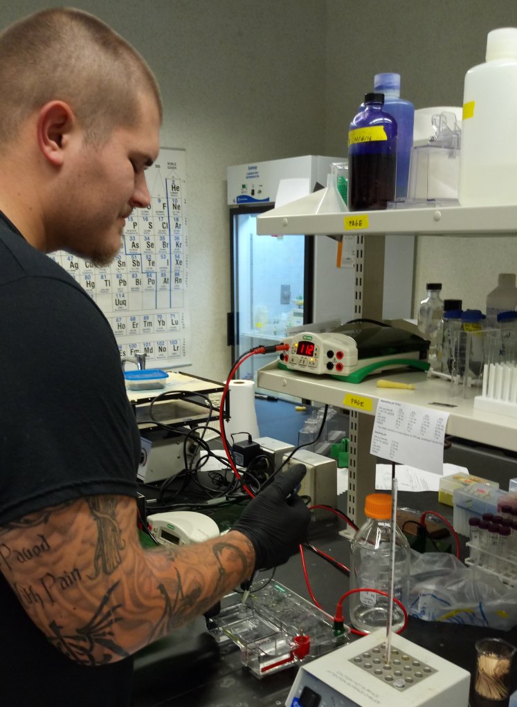 Male student wearing gloves and working with genetic analysis equipment 