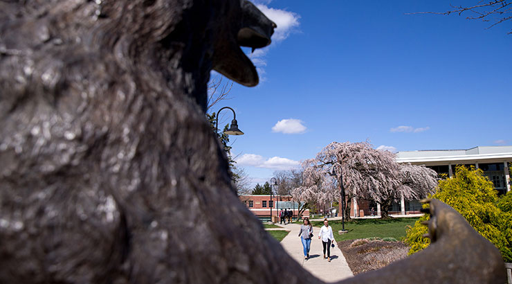 Bear statue with students walking on sidewalk in background.