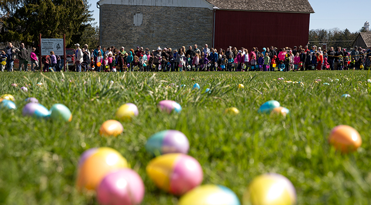Field of Easter eggs with children in background.