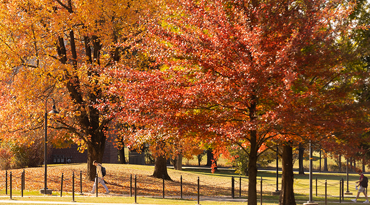 Students walking on campus during fall