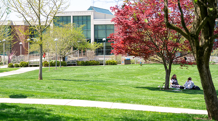 Grass out front of library.