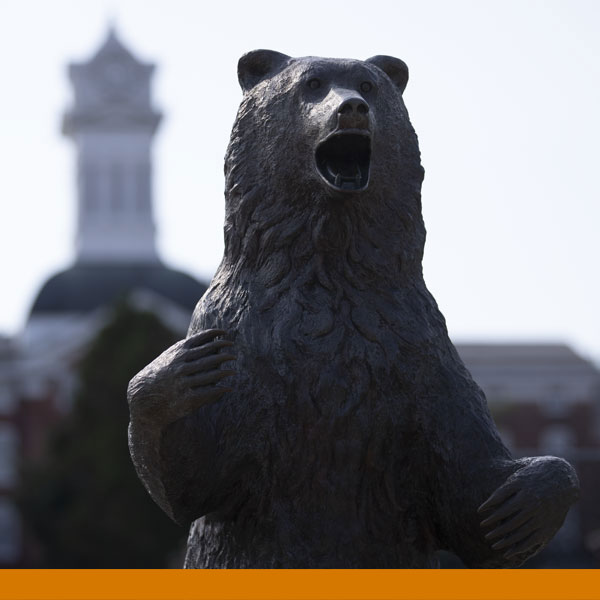 Image of the iconic bronze bear statue with the old main tower in the distant background.