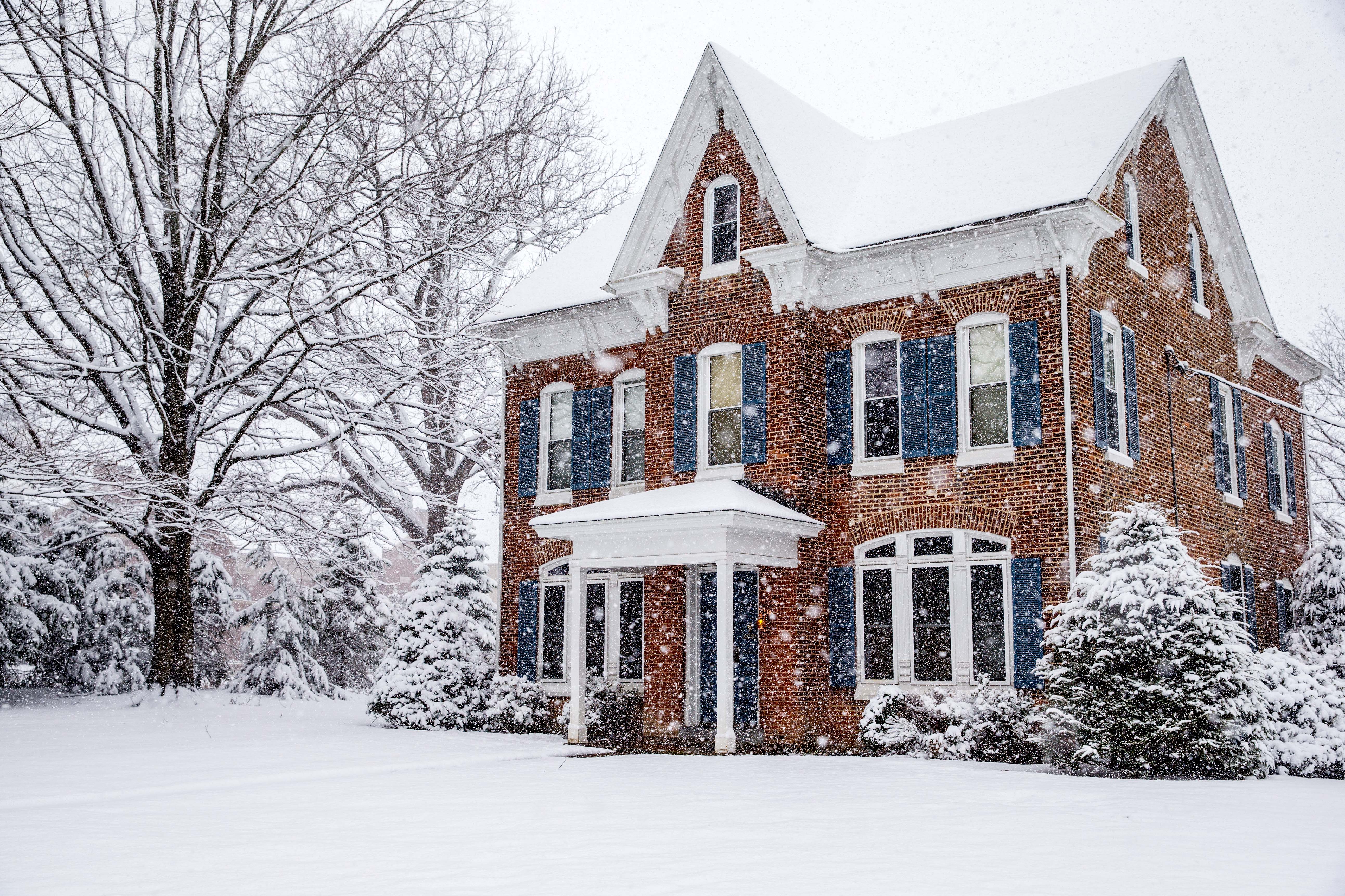 Snowy Poplar House 