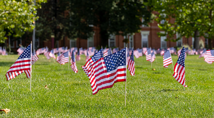 Flags in Alumni Plaza lawn