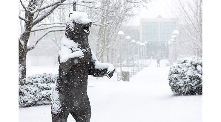 Snow on campus with bear statue