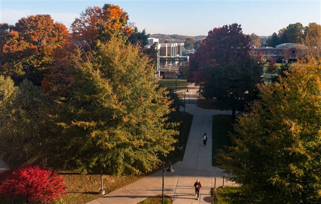 Fall campus drone photo