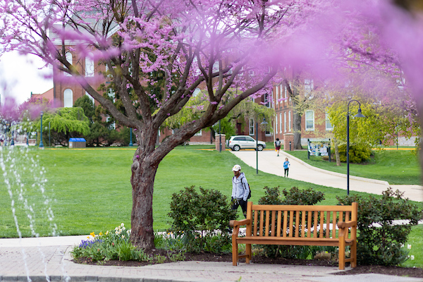 Photo of south campus DMZ fountain, red bud tree, bench and students in the background