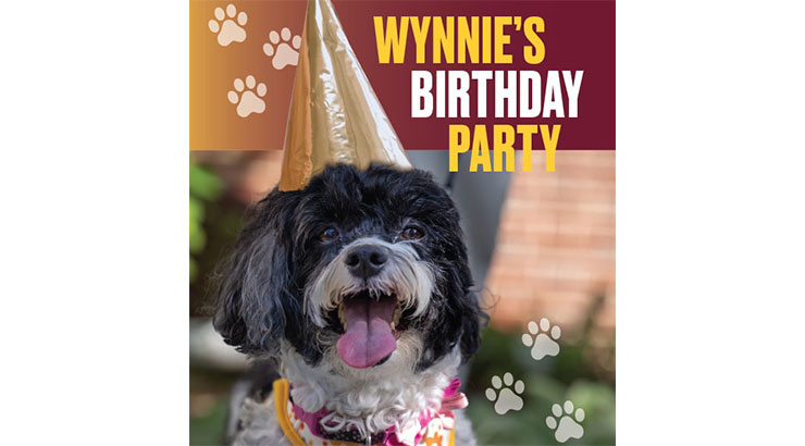 The president's dog, Wynnie, in a birthday hat
