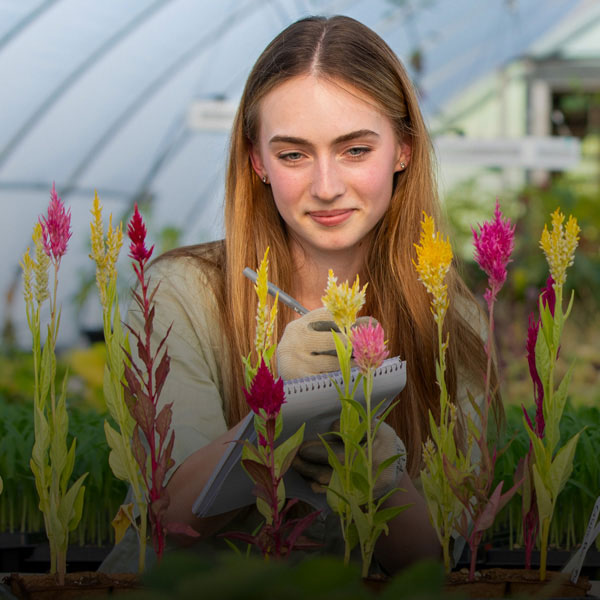 Female Enviornmental Science Regenerative Organic Agriculture major inspecting plant growth in the Stump Seiger Botanical Research Center