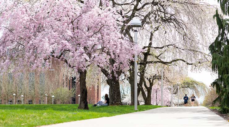 Spring campus photo