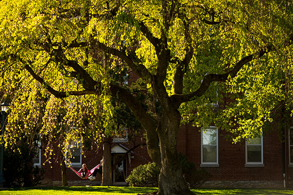 The sun shines through a lush green tree on campus. A student relaxes in a hammock hanging from the tree. A brick building with large windows is in the background.