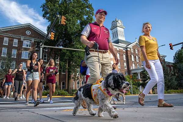 Dr. Kenneth Hawkinson and his wife Marie walk their dog Whynie across the street in front of the old main building. A group of students walk behind them participating in a weekly walk and talk event for students to casually converse with President Hawkinson. 