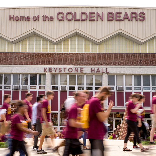 new golden bears walking together