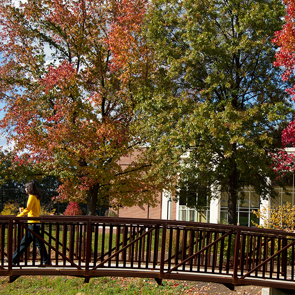 student walking across bridge with fall trees