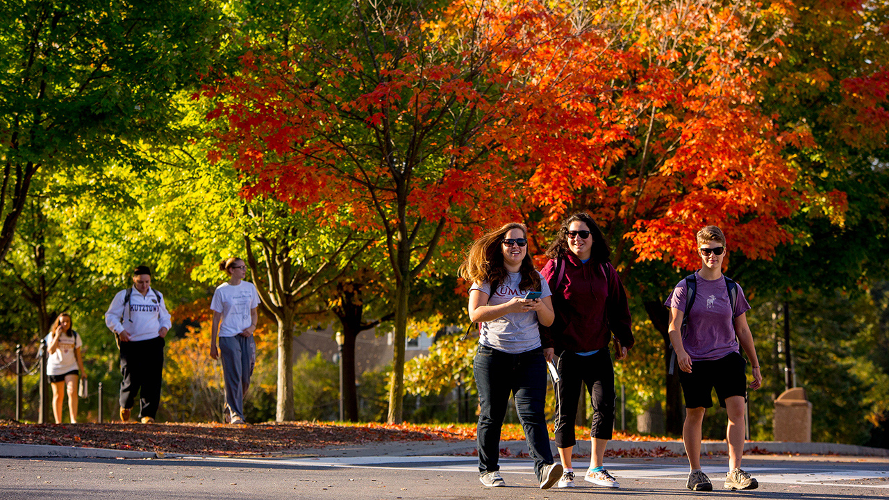 students walking together with fall trees in the background