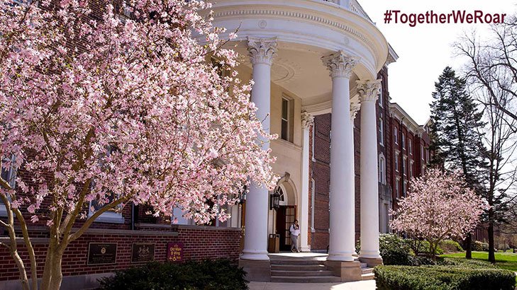 The front entrance of Old Main with the white columns framed by flowering spring trees of pink blossoms