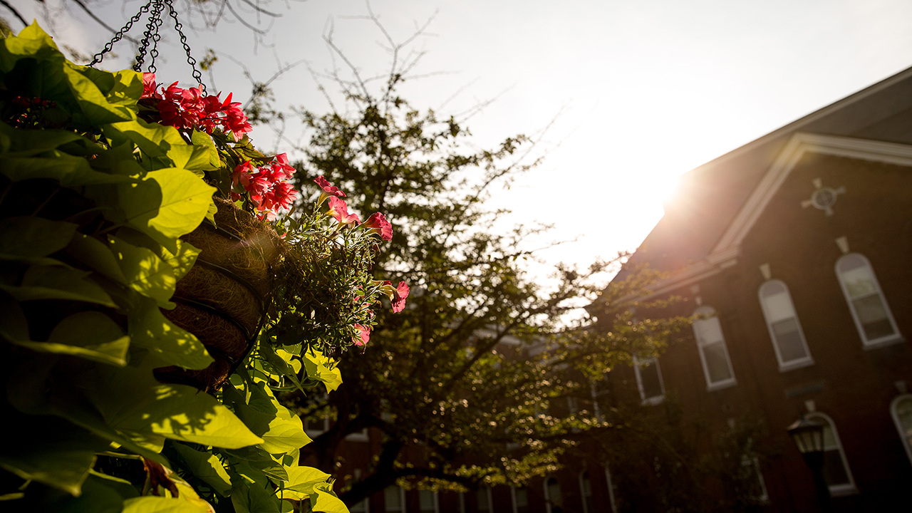Flowers in front of Old Main, with the sun shining over the roof 