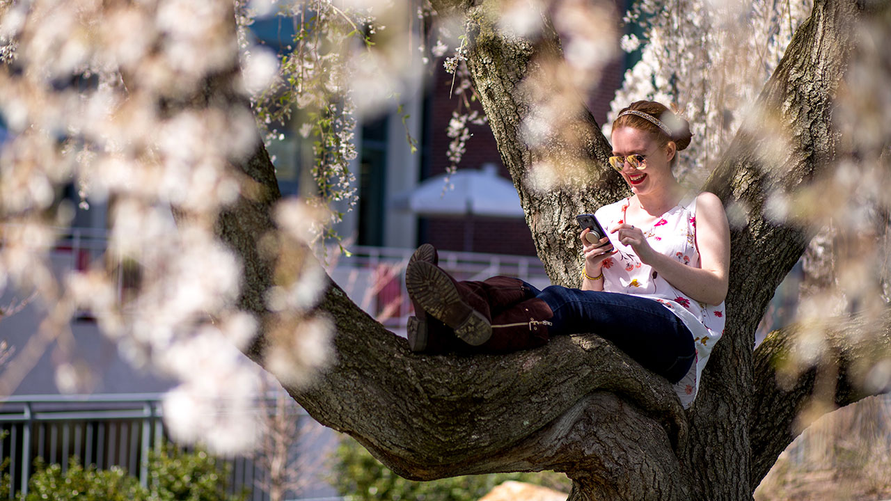 Female student sitting in the branches of a tree and laughing at her phone