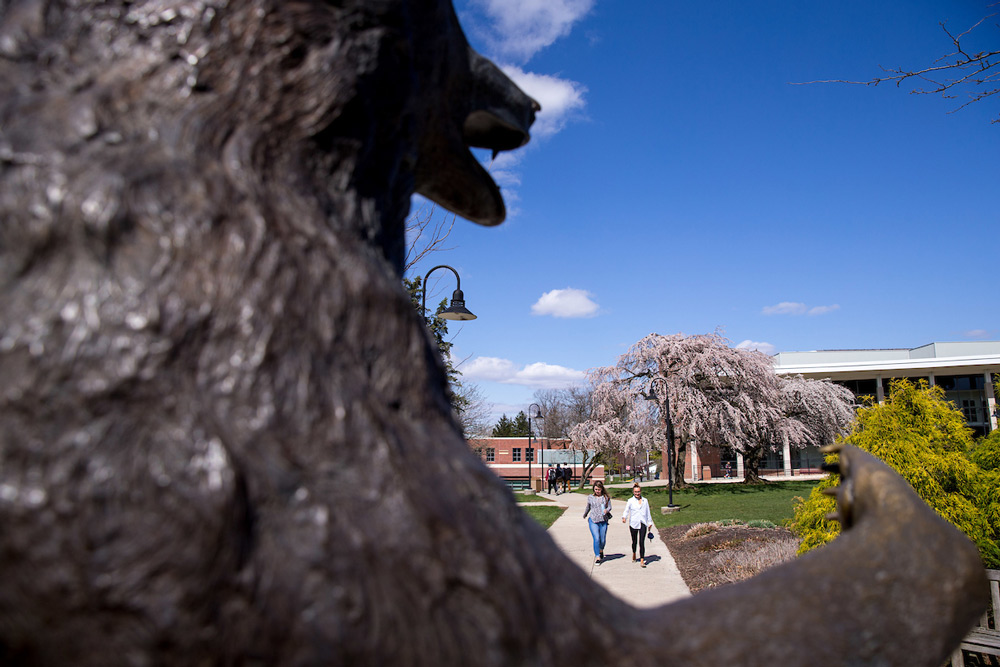 Bear Statue with students walking