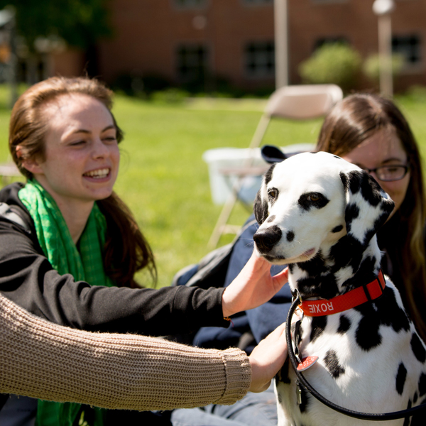 Students pet dog at Pet Therapy Day
